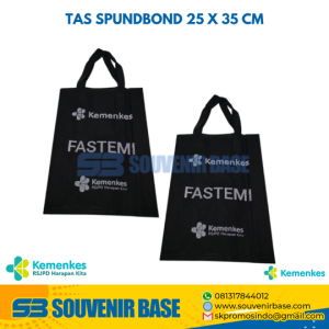 Tas spundbond 25x35 cm - Fastemi