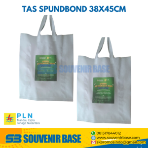 Tas spundbond 38x45 cm - green action day 2025 PLN mandau